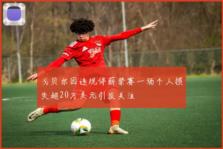 戈贝尔因违规停薪禁赛一场个人损失超20万美元引发关注